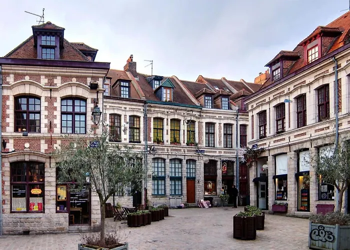 Lille Centre - Nice&functional studio
