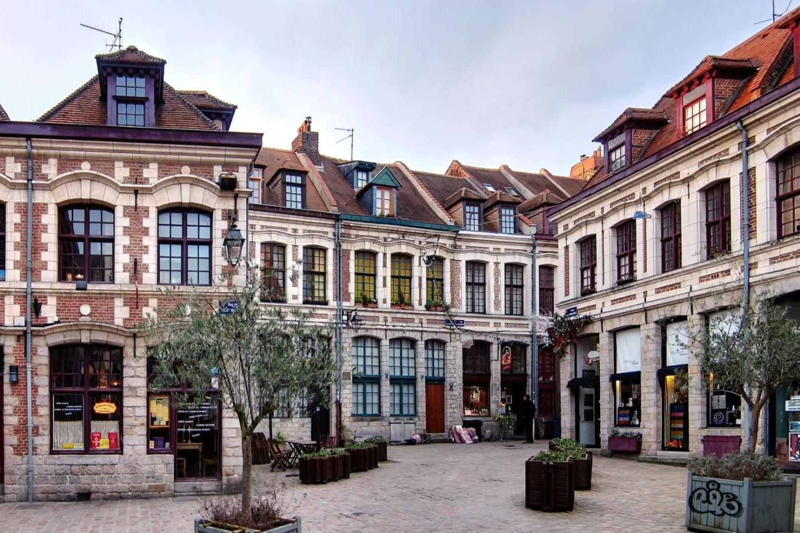 Appartement Centre - Nice&functional Lille